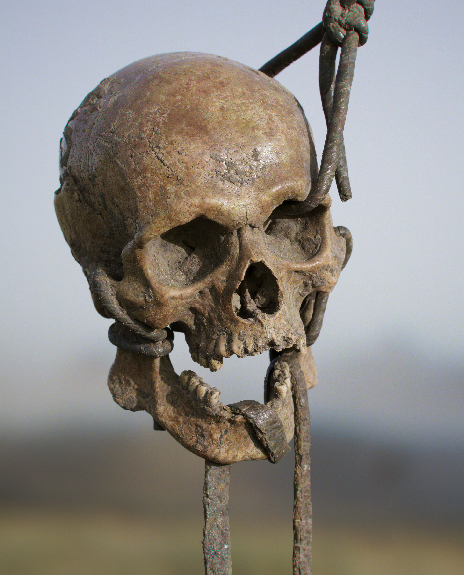 ArtStation - lookDev_assets