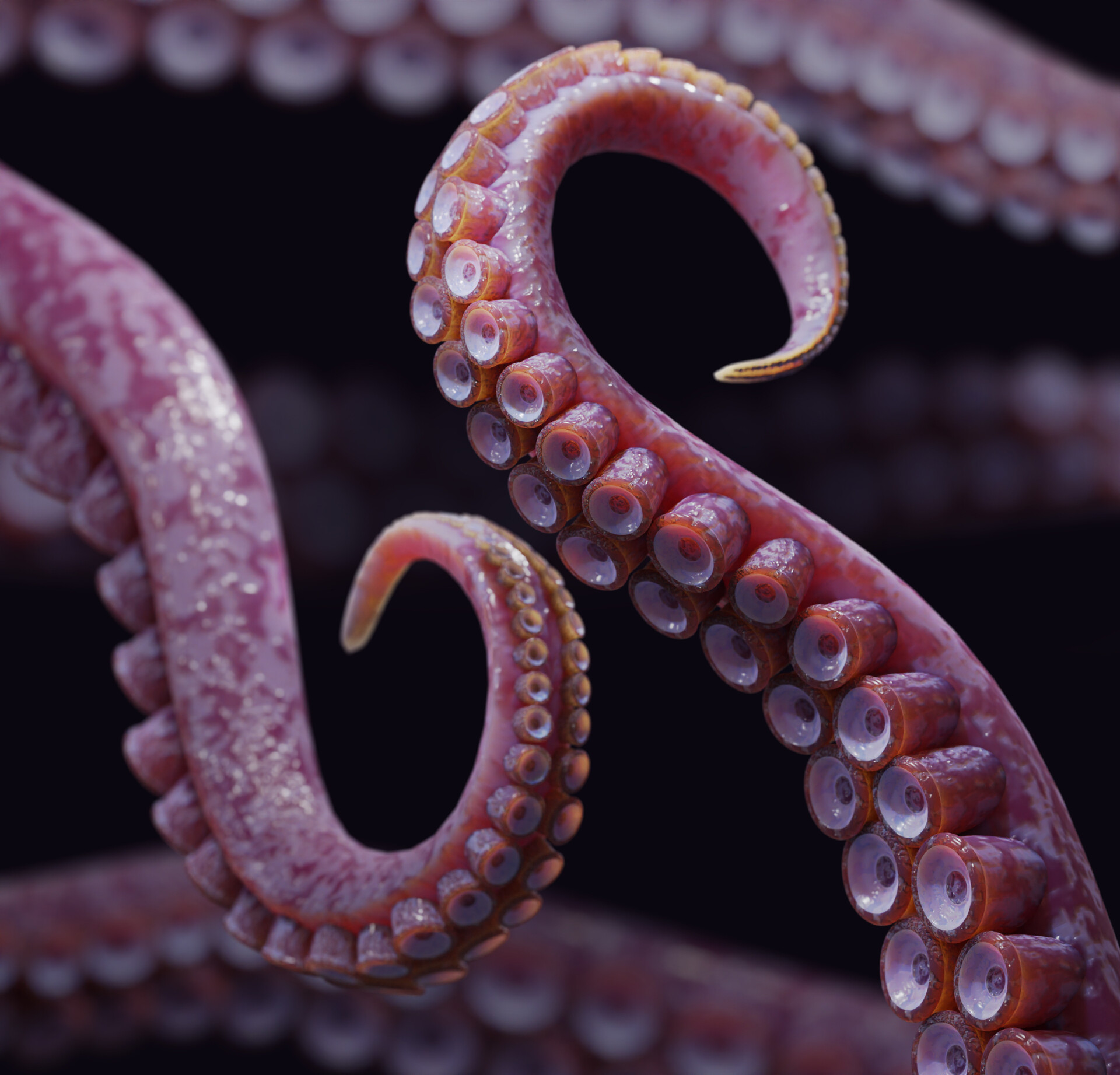 ArtStation - 3d octopus tentacle