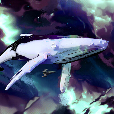 Pawel kozera space flight whale s