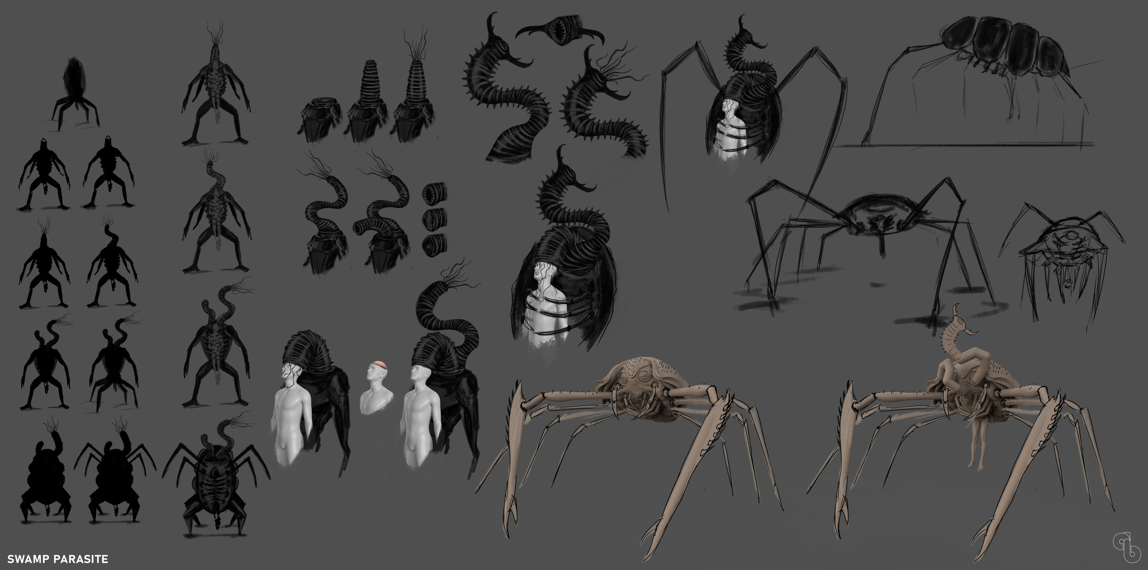 Development Sketches