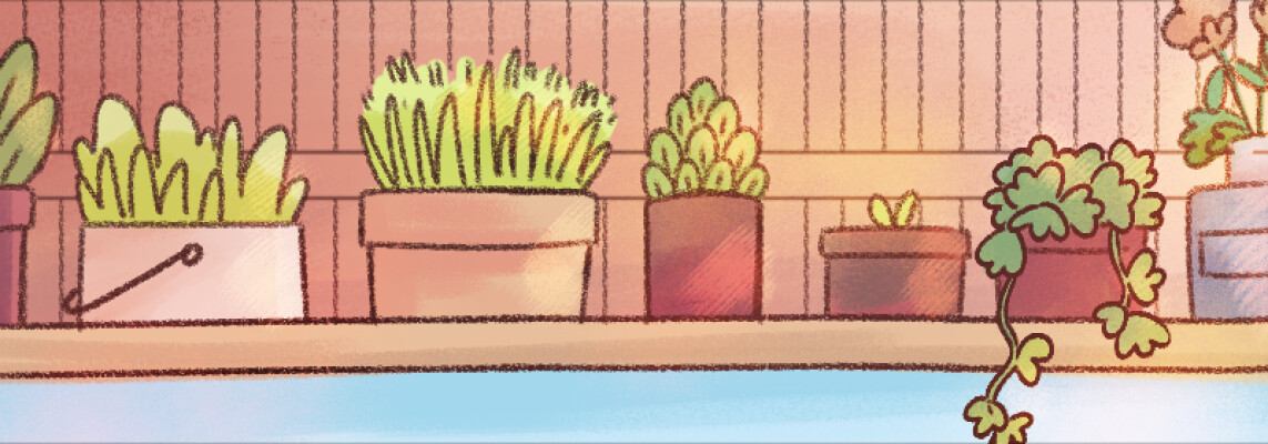 potted plants