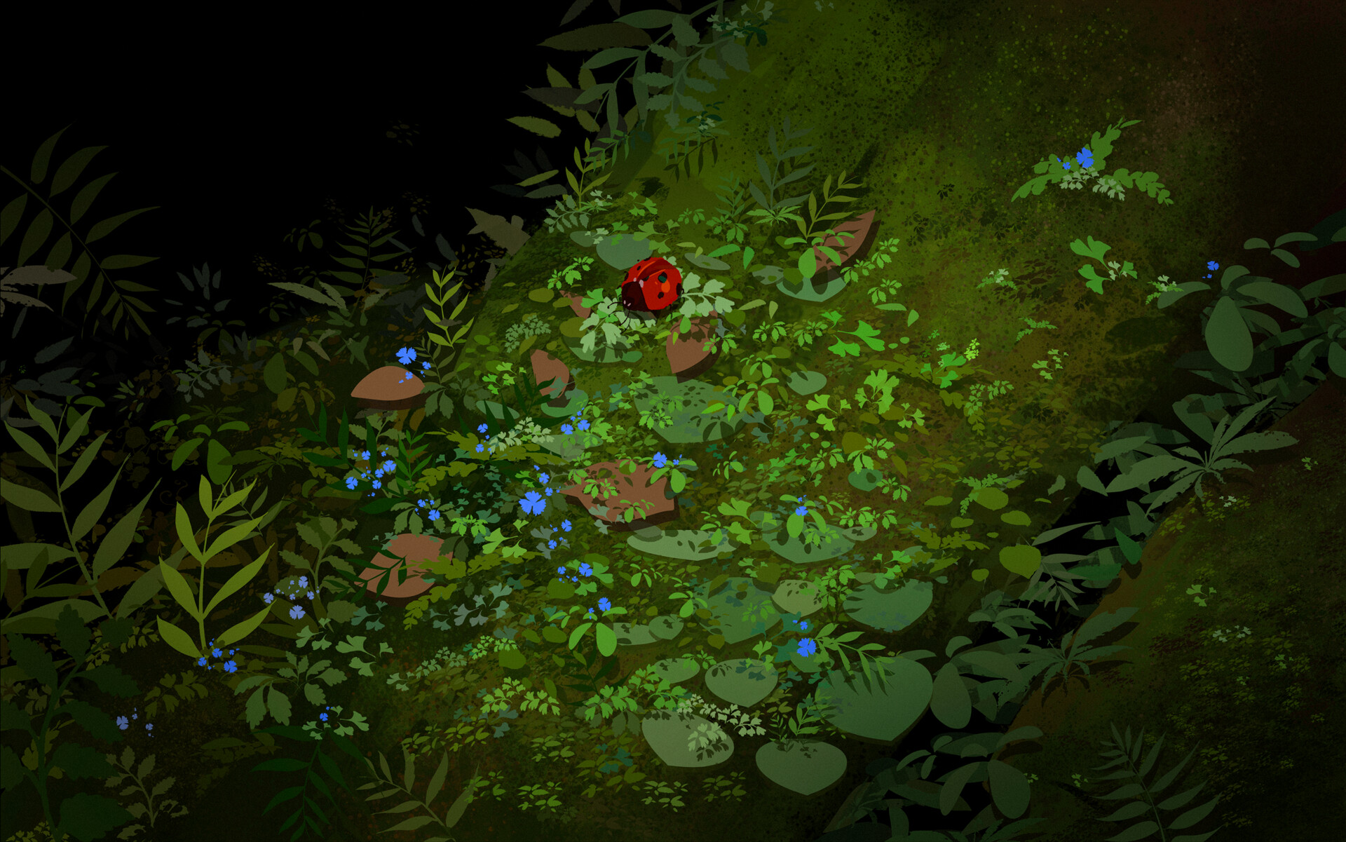 The ladybug Biology Diagrams