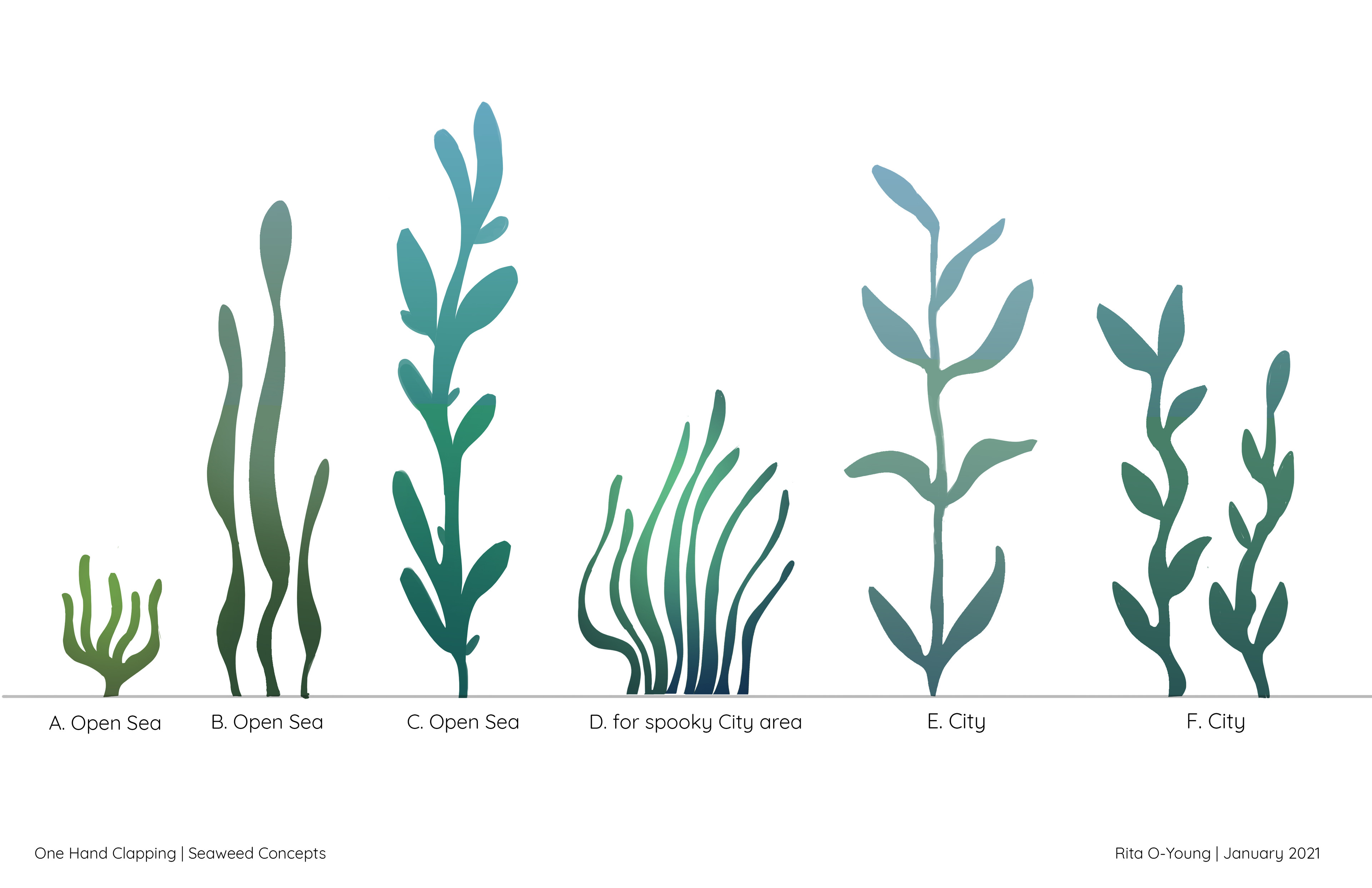 Seaweed Sketches