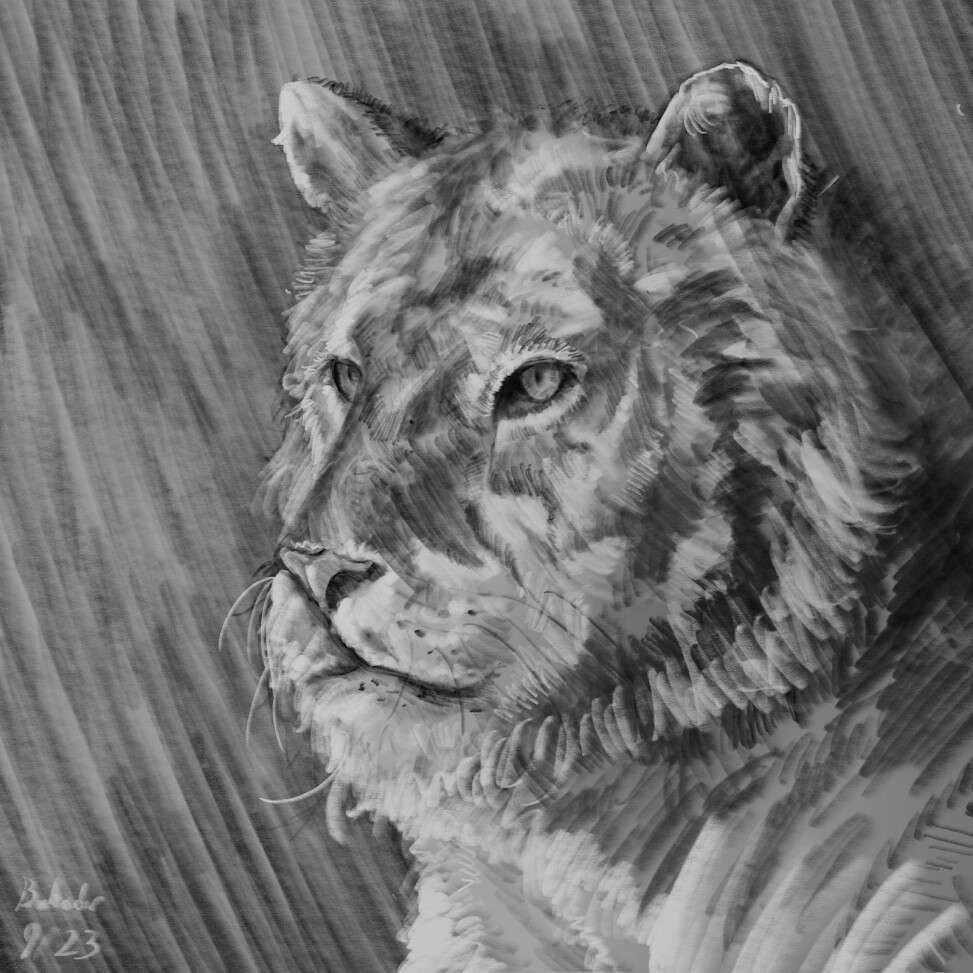 Drawing by Bahadır Atcı