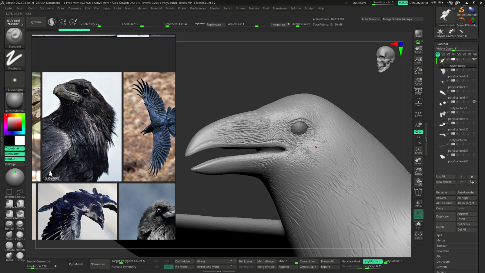 Raven Detaling