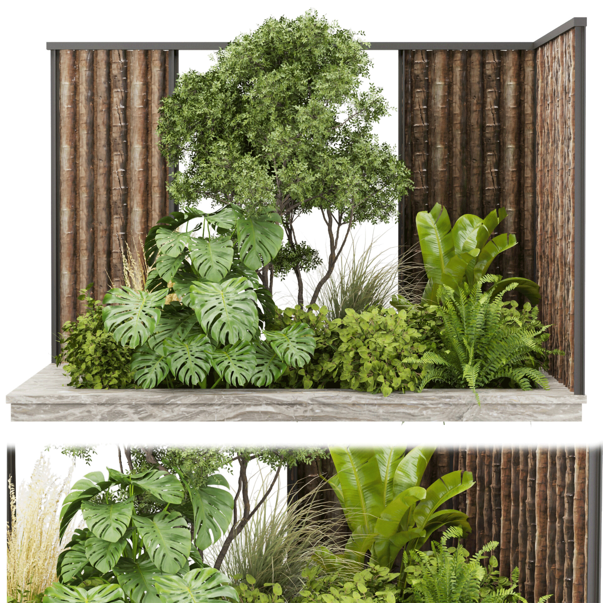 ArtStation - Collection plant vol 488 - 3d max model