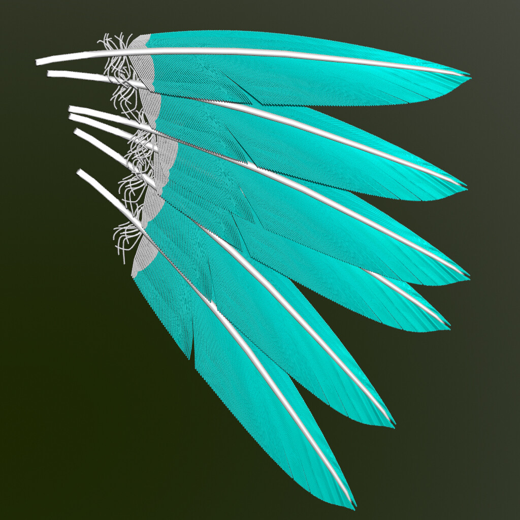 Using a simple script you can create decent representations of feathers with sine curves, although the barbules were not necessary but take into account their subtle influence on the final appearance