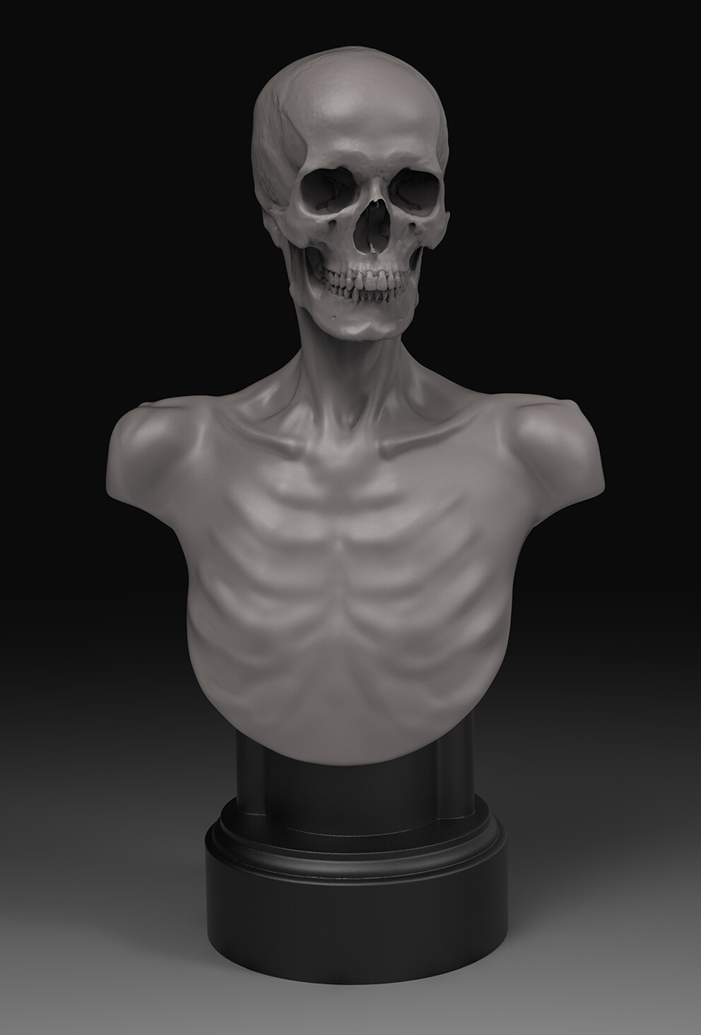 Anatomical Armature Bust Collectible!