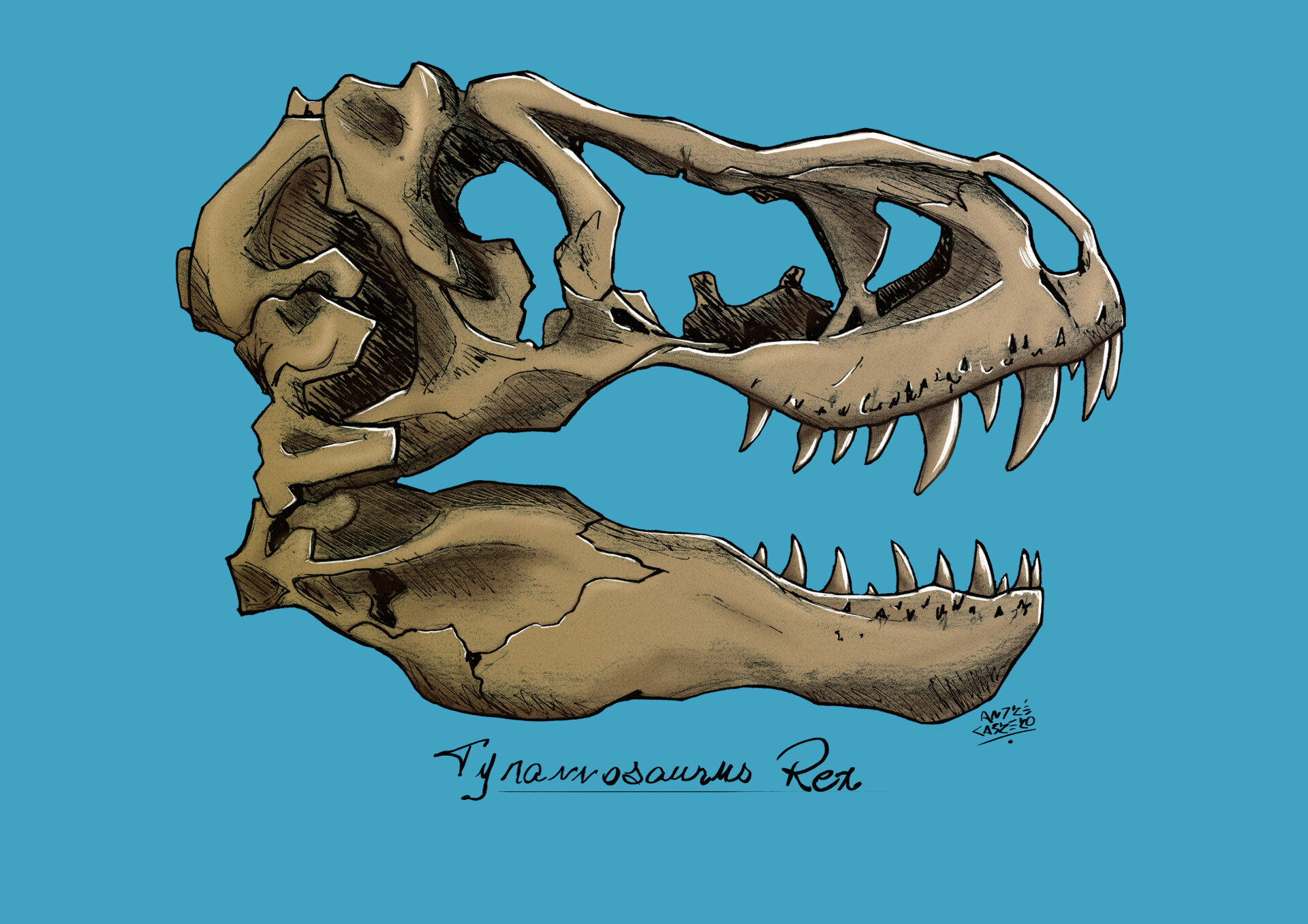 ArtStation - T-Rex fossil