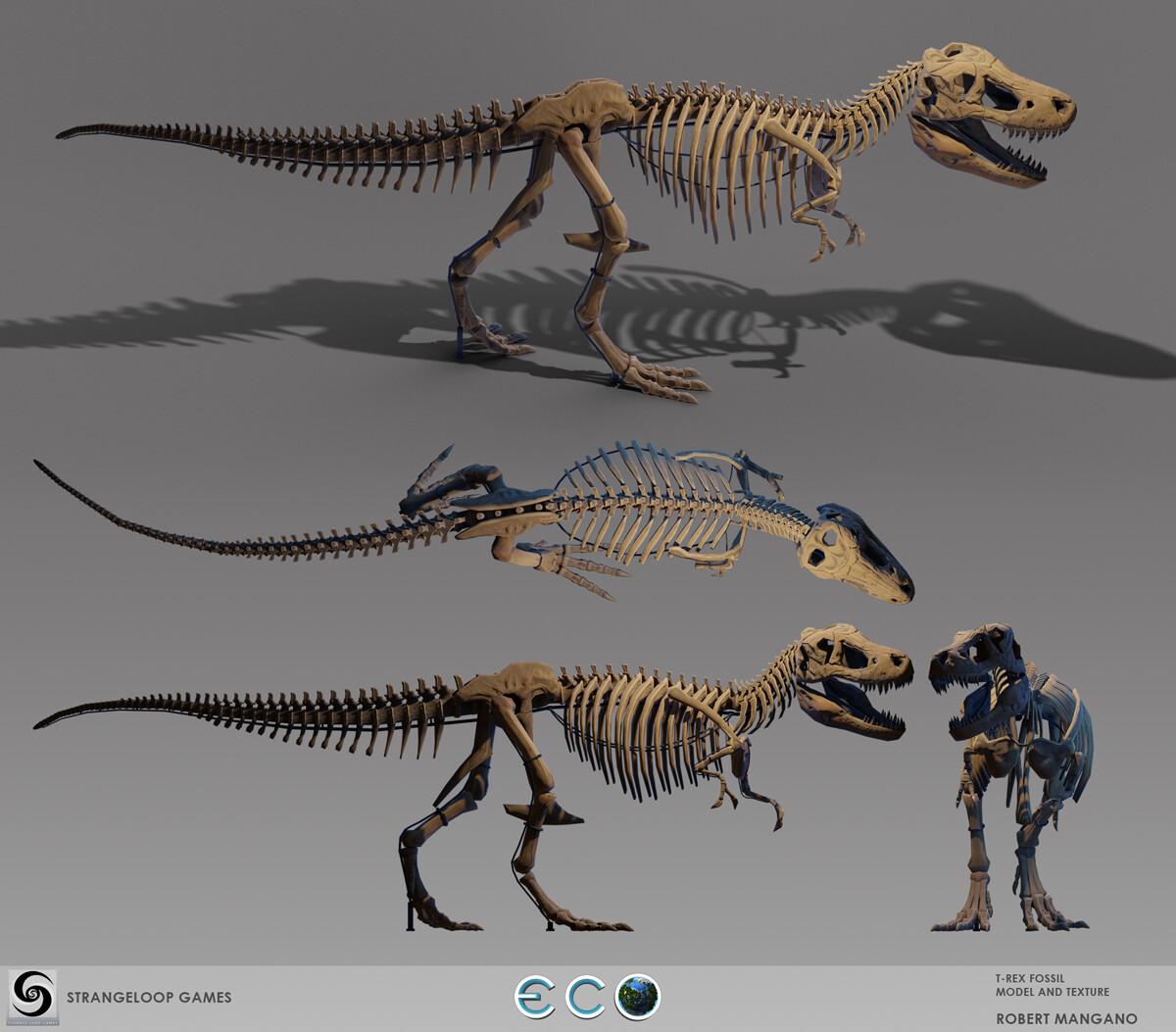 T-Rex Fossil
Model and Texture