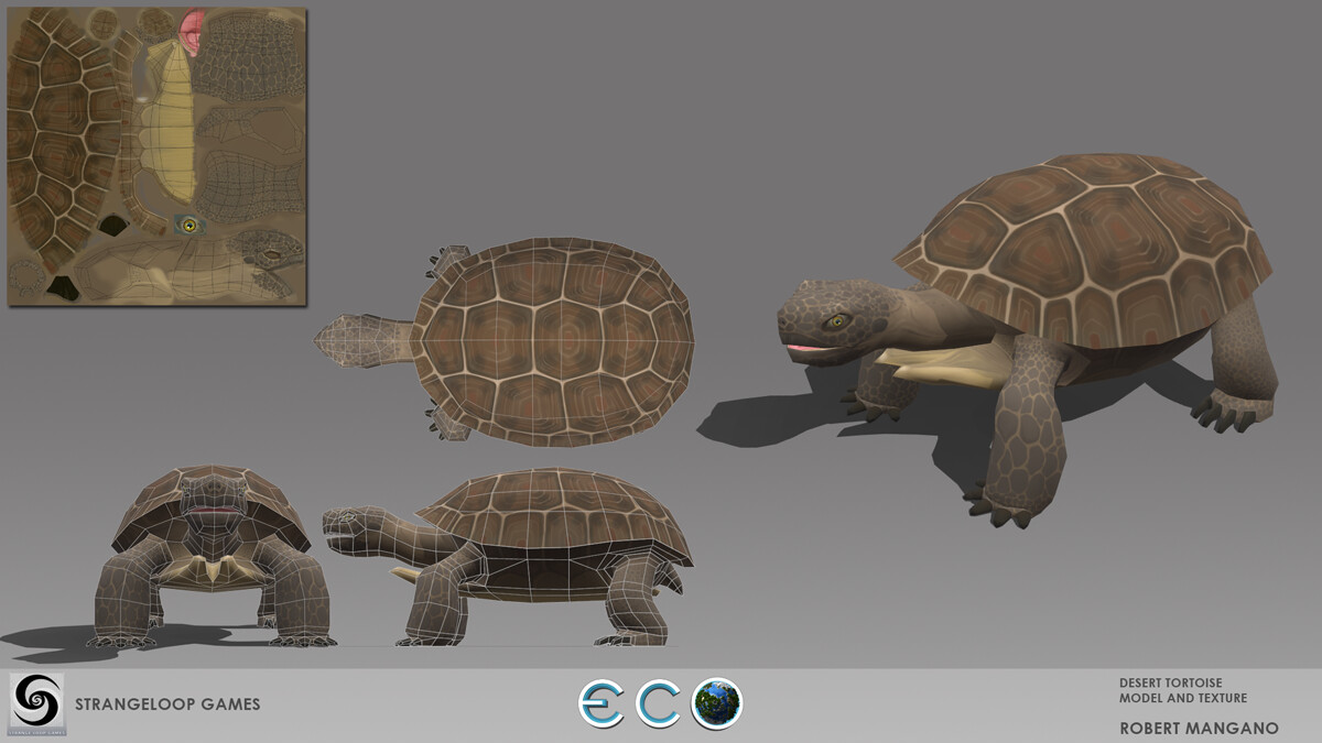 Desert tortoise model, texture and rigging.
