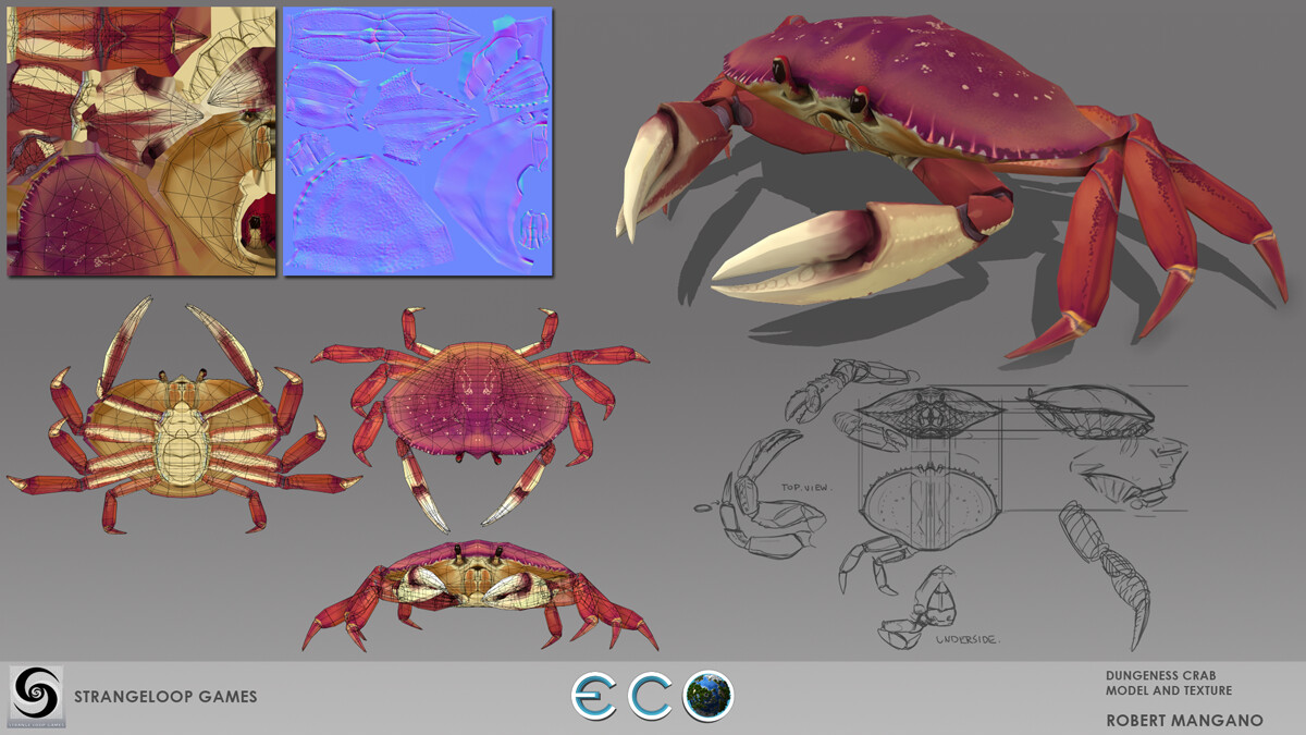 Dungeness Crab, model, texture, rigging.
