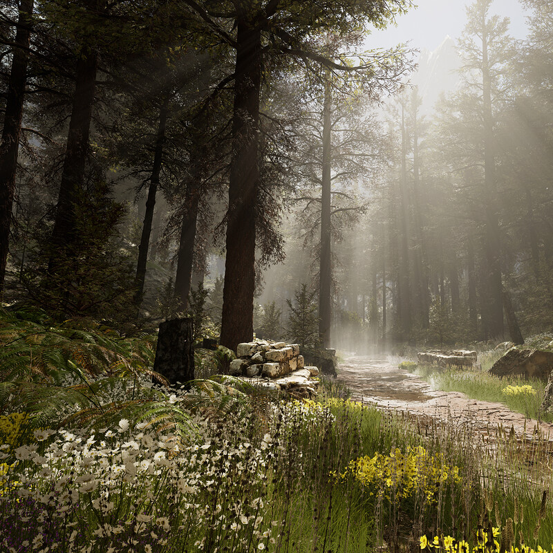 Forest Environment UE 5.2