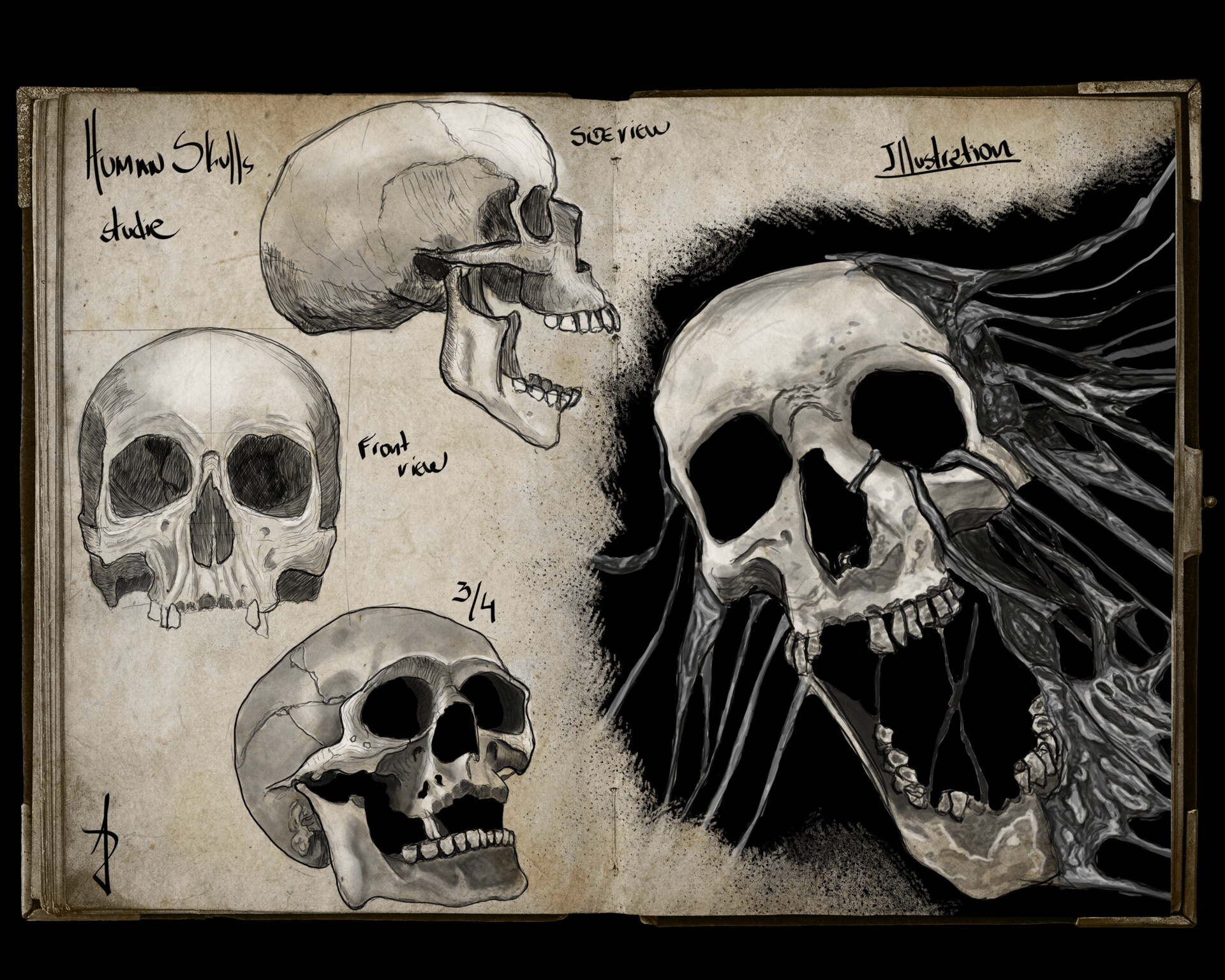 human skull front drawing
