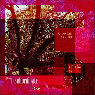 Album Cover :: Insubordinate Trees