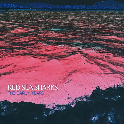 Red Sea Sharks