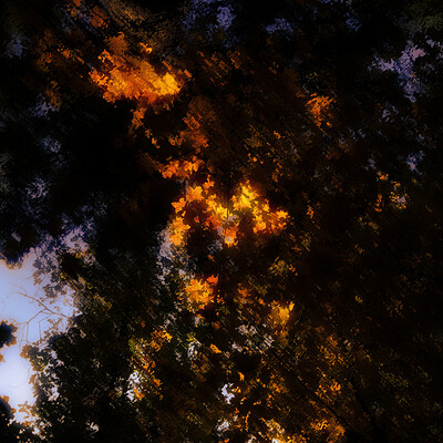 Autumn leaves composition