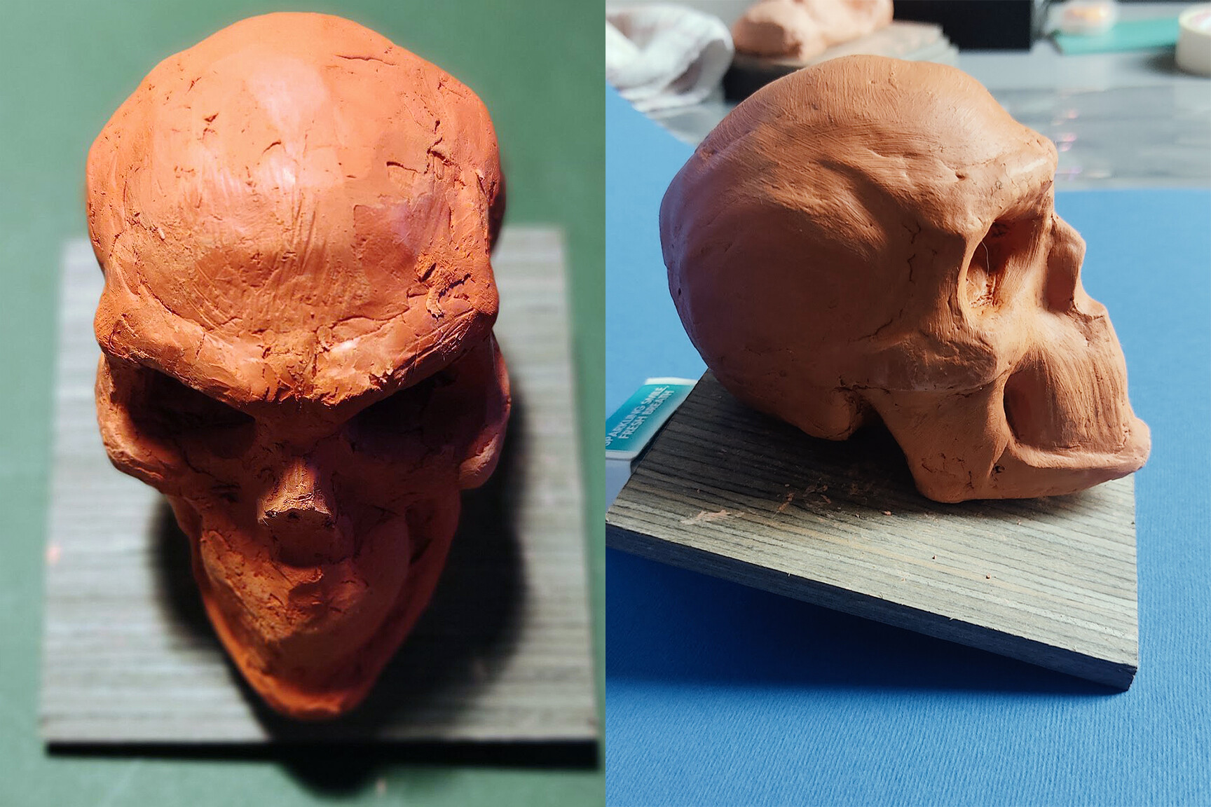 Sculpting Skulls with Air Dry Clay · Art Prof