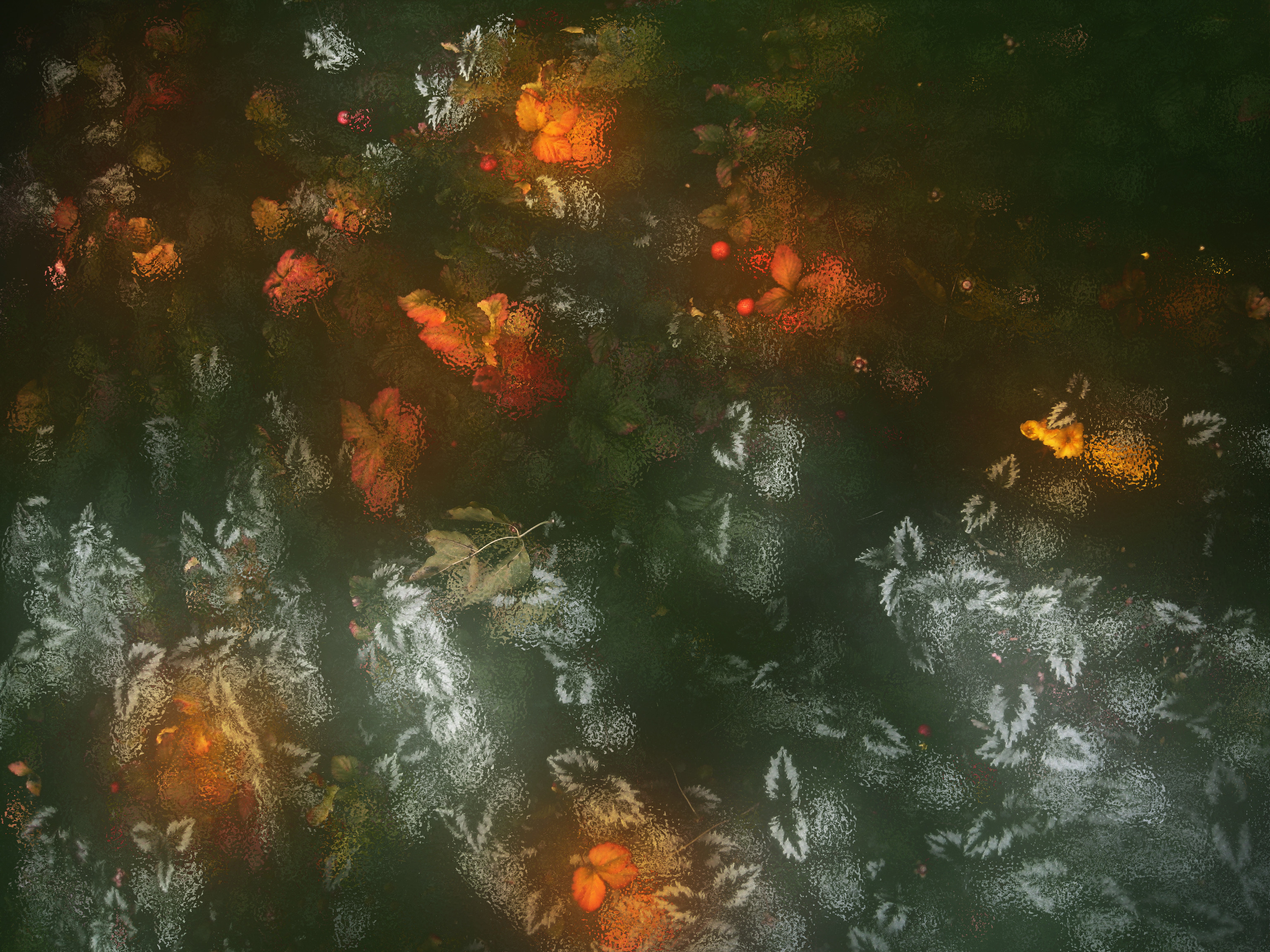 Abstraction with leaves