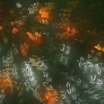 Abstraction with leaves