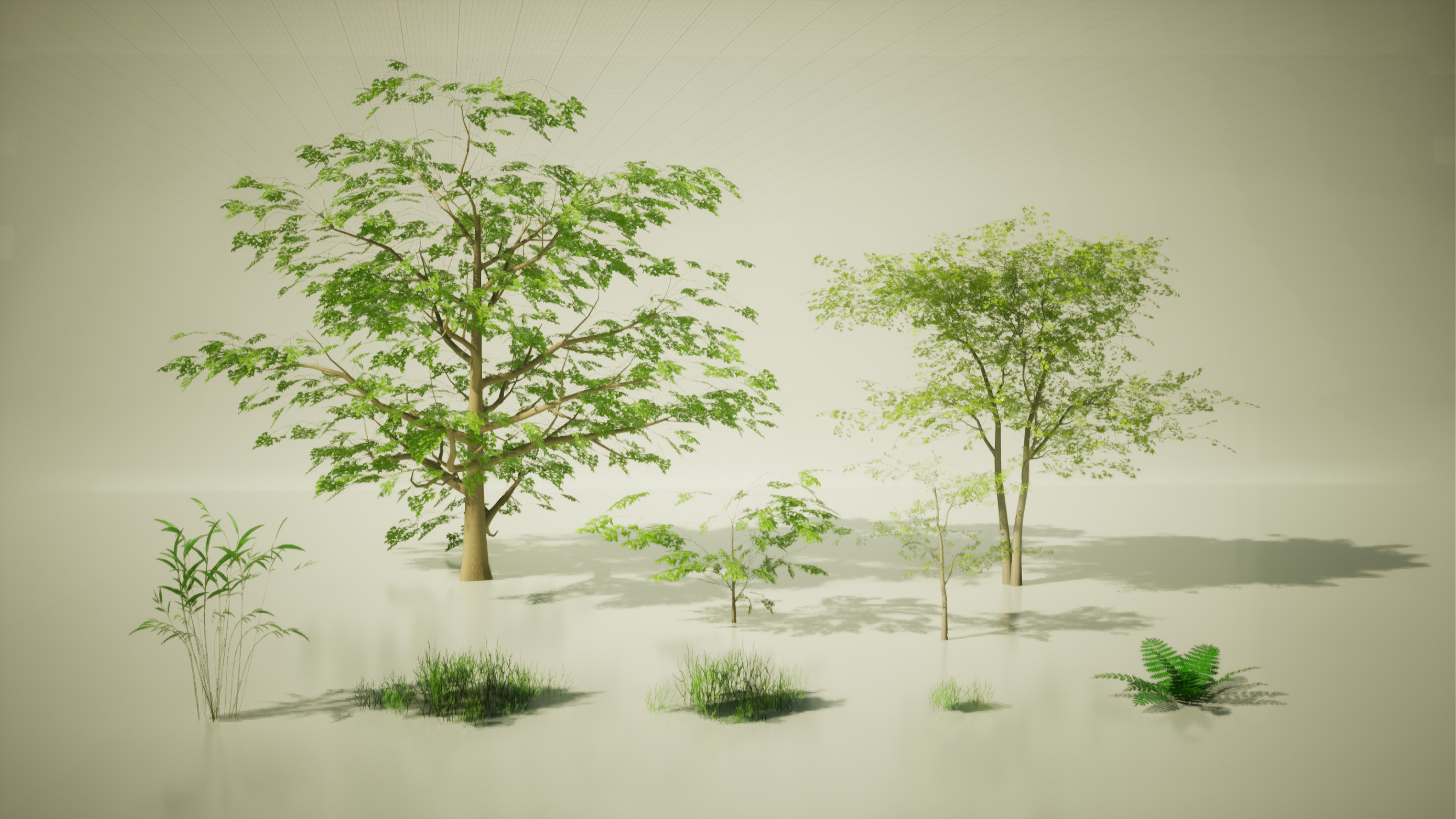 Vegetation Assets