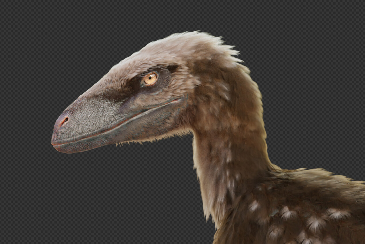 Deinonychus Um Dinossauro Realista Em 6 Poses Diferentes