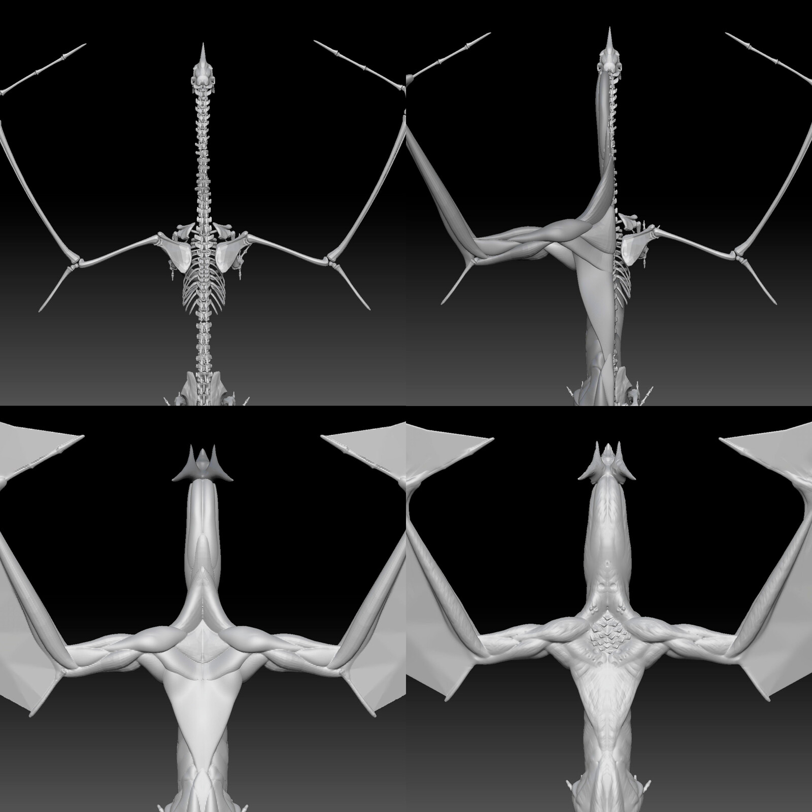 Sculpt processus by building accurate muscle anatomy over the skeleton.