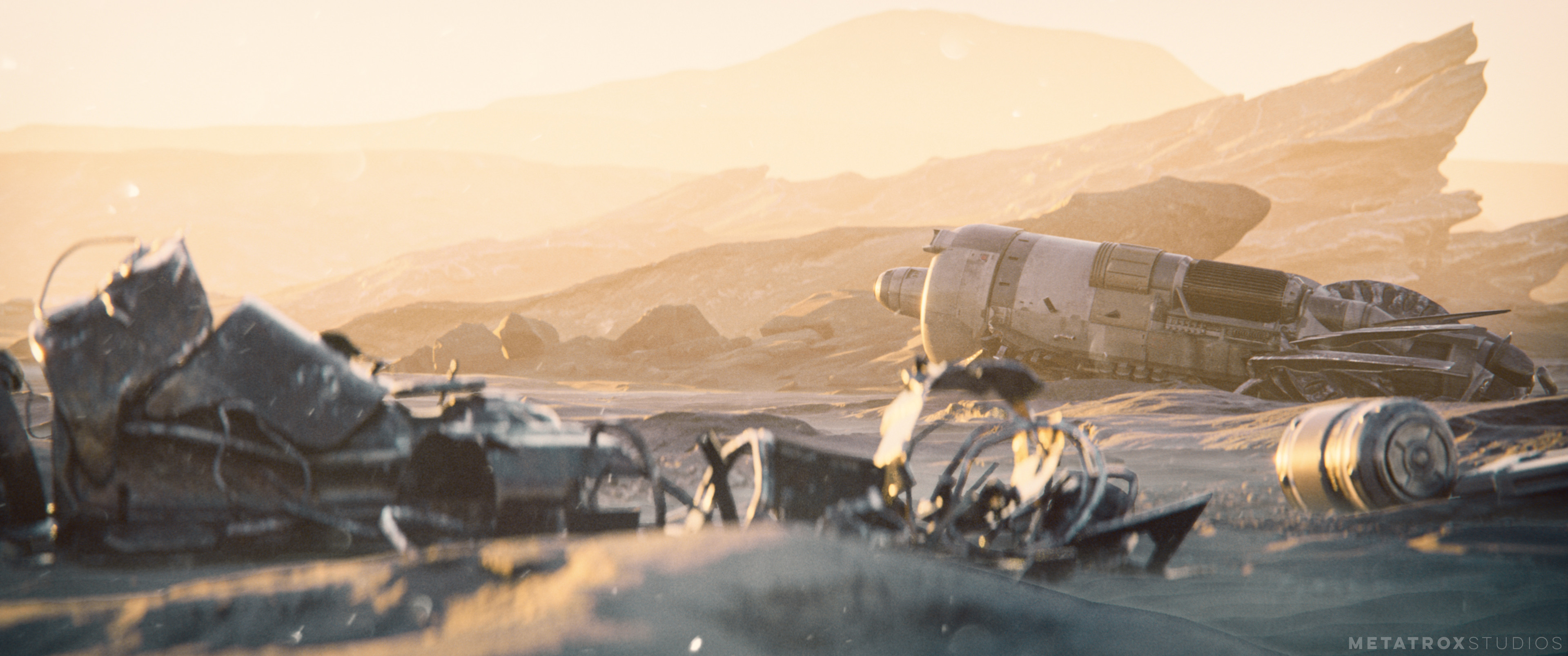 Detail Shot