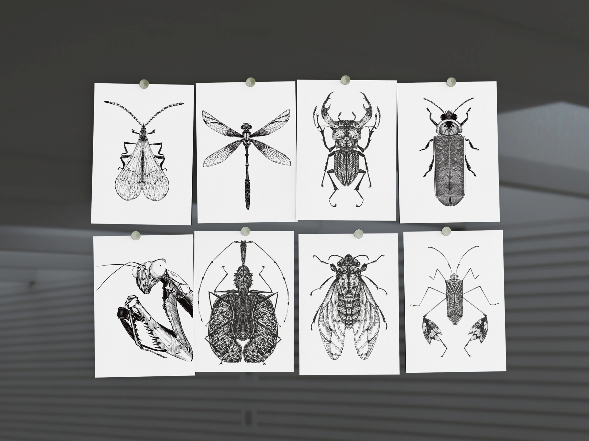 ArtStation - Bug Illustrations