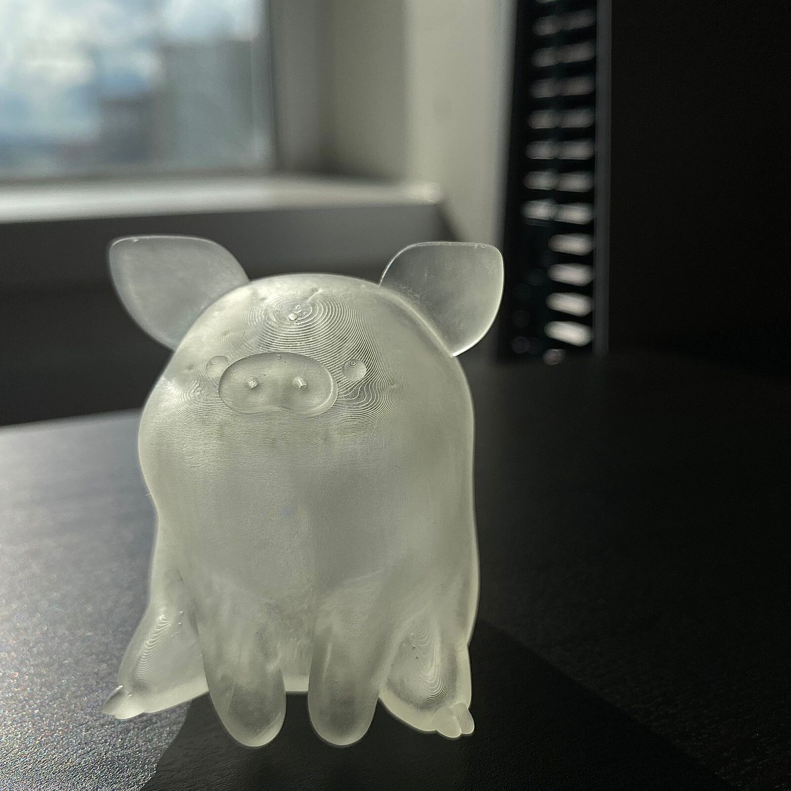 3d Model printed in resin.