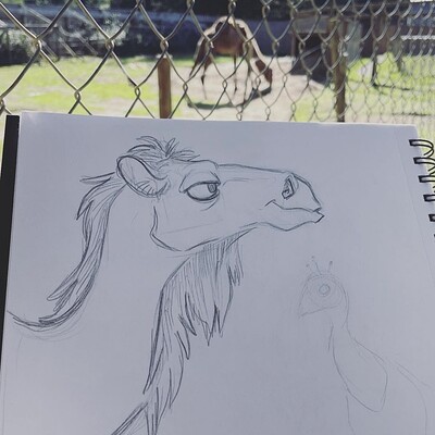 Camel Zoo Sketch