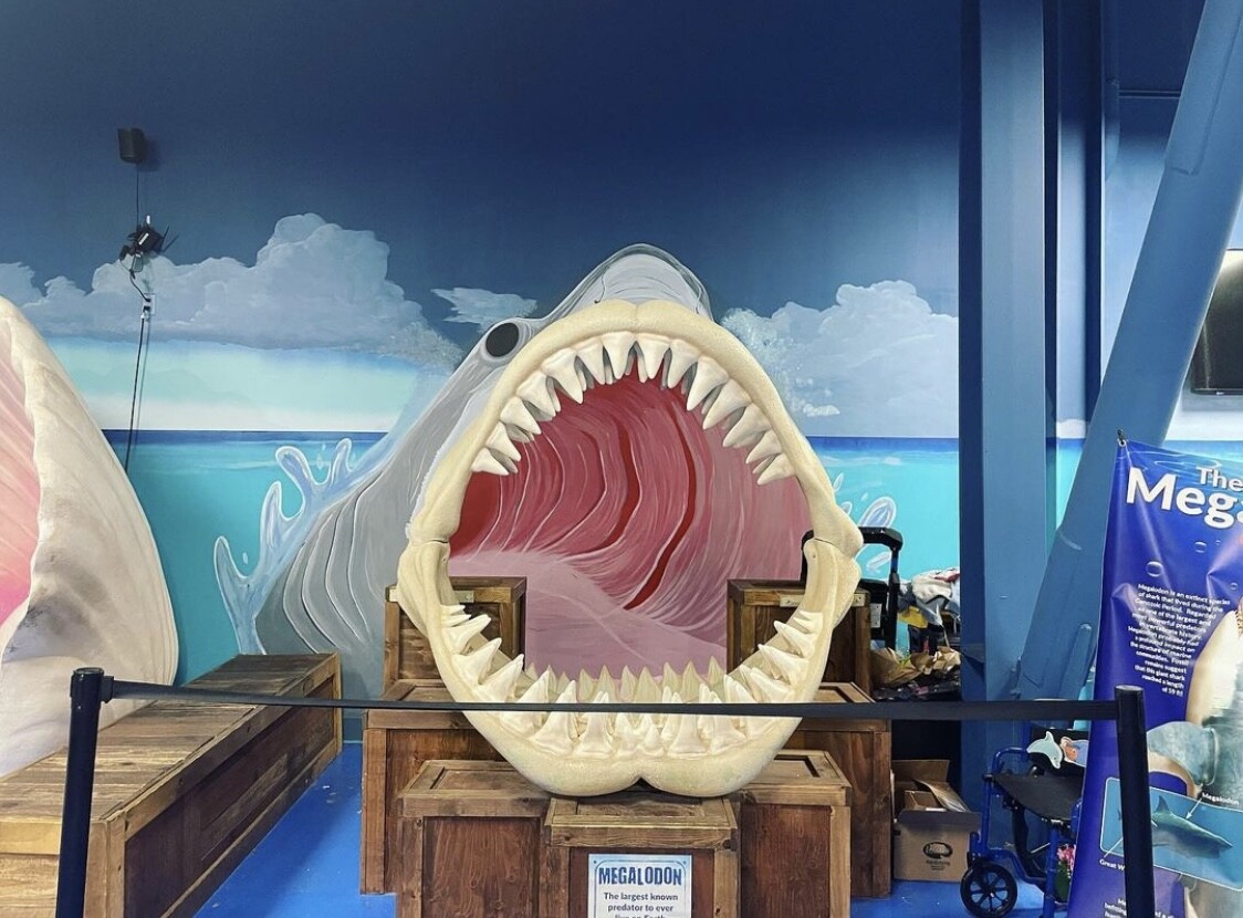 Megalodon (Front)