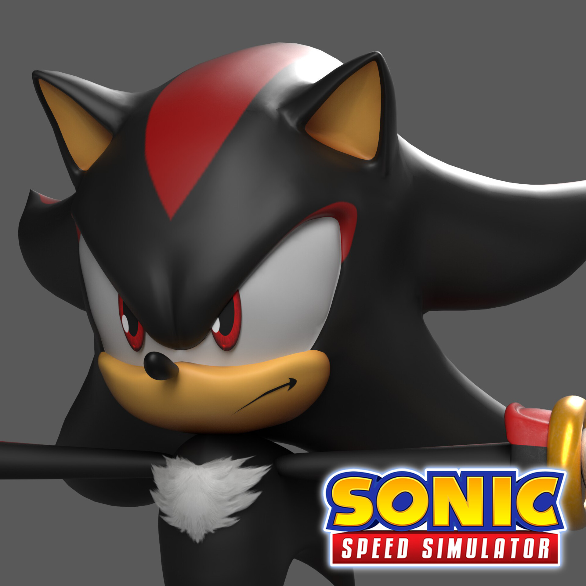 Sonic Speed Simulator