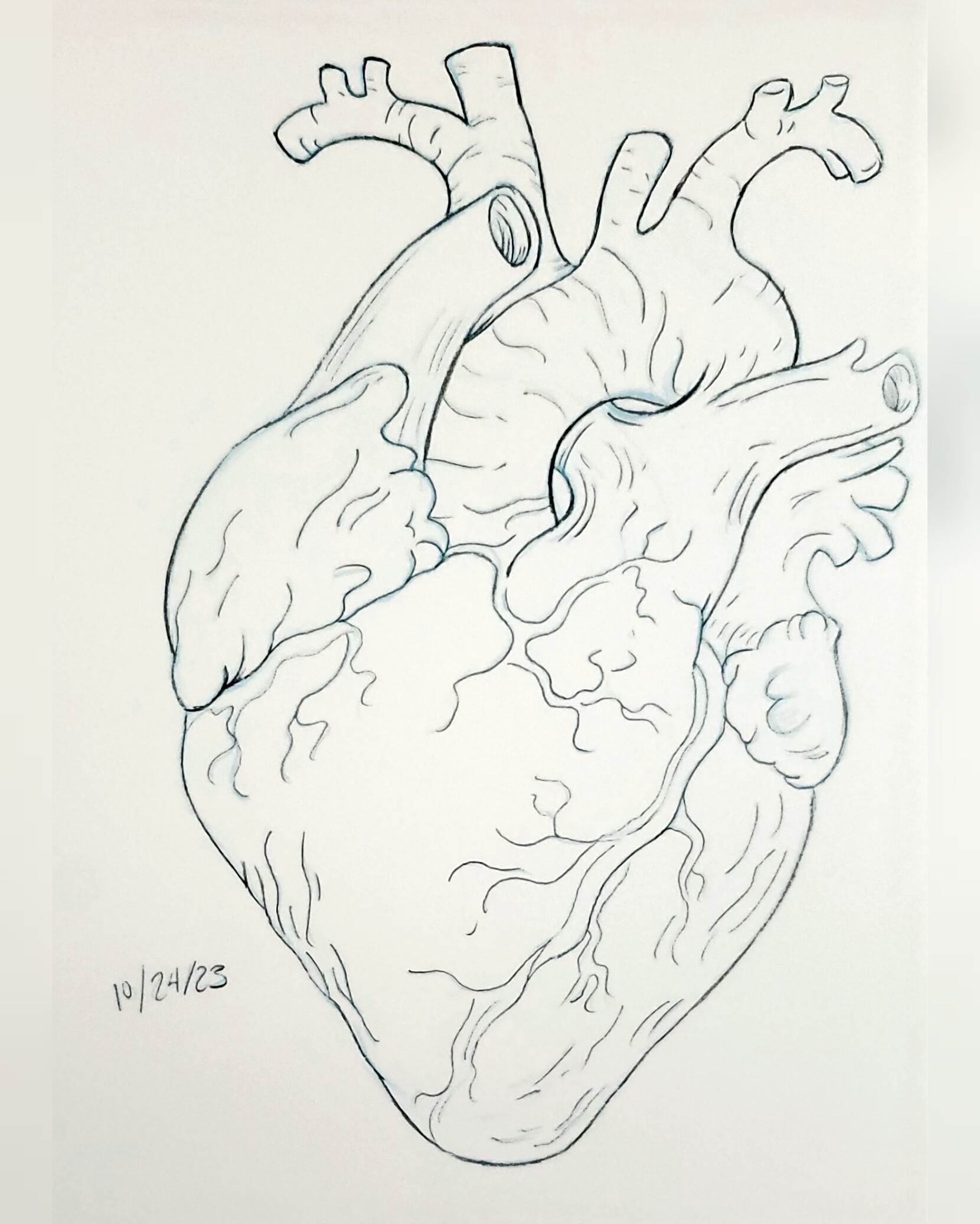 File:Heart diagram-en.svg - Wikimedia Commons