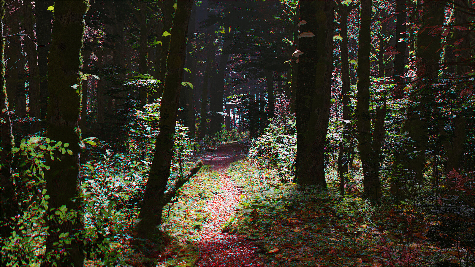 Dark forest