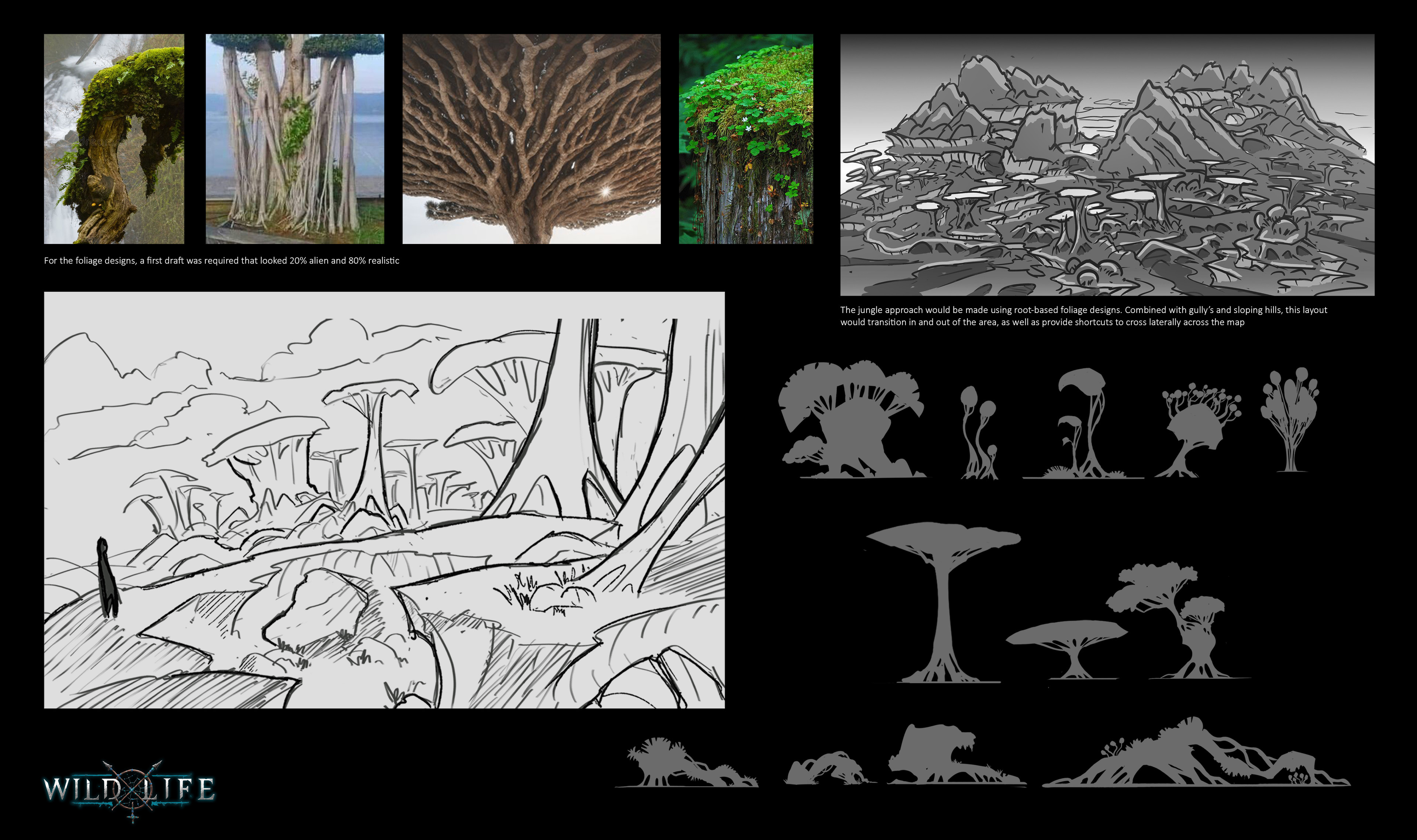 Very early draft sketches and designs for the region's jungle