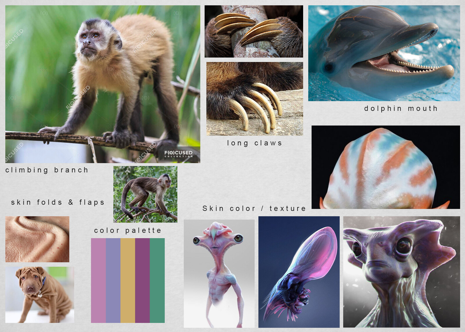Reference sheet