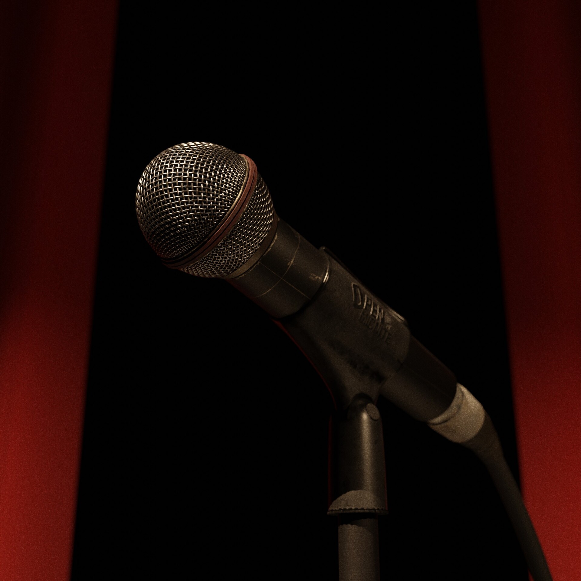 Voice Acting