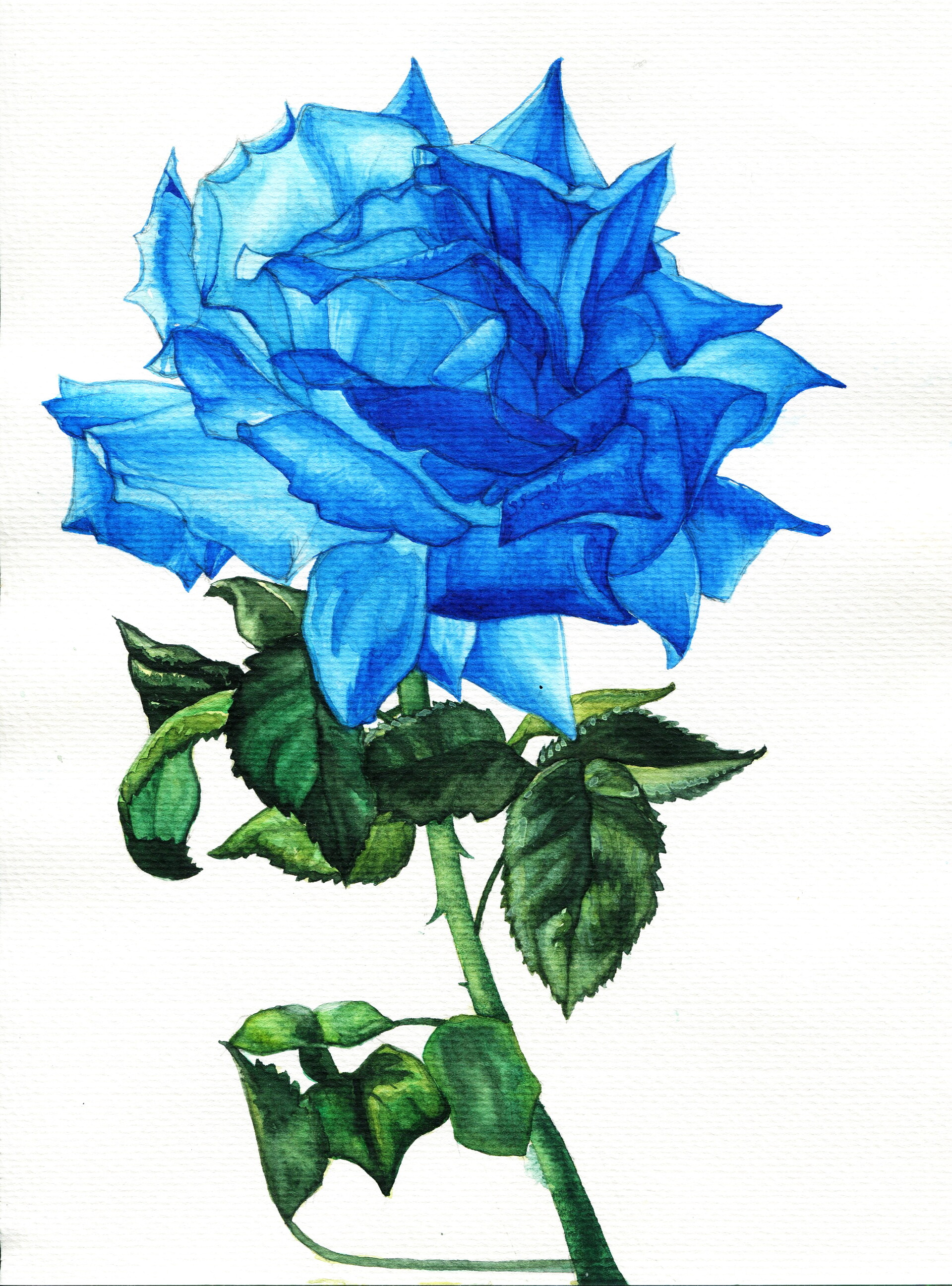 ArtStation - Watercolor illustration 