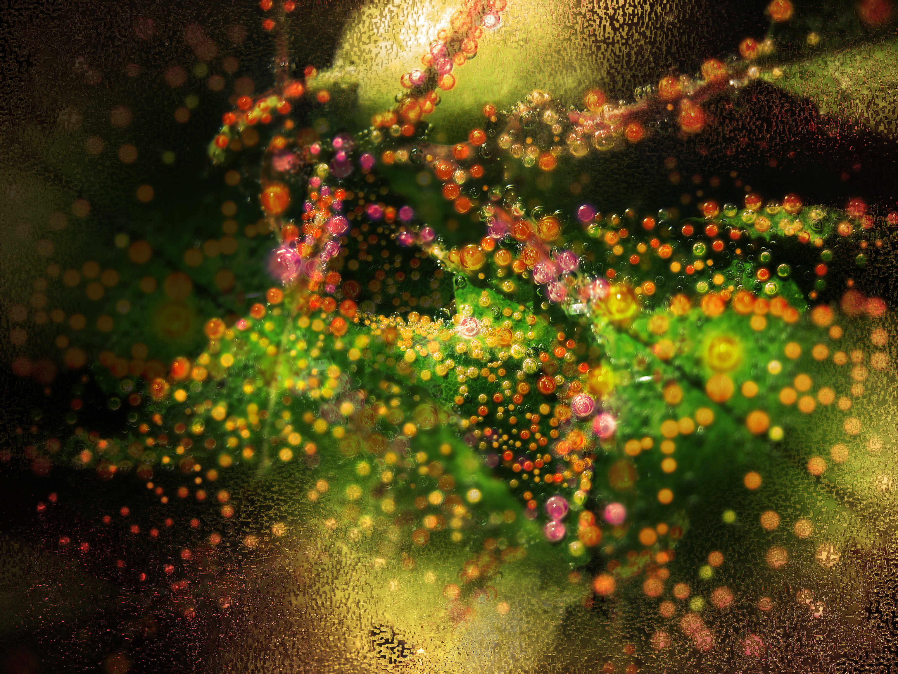Lights on leaves