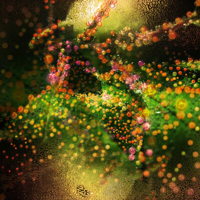 Lights on leaves