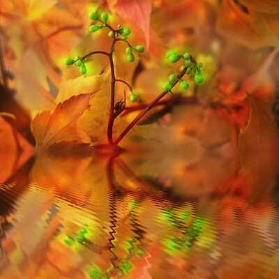 Magic of autumn