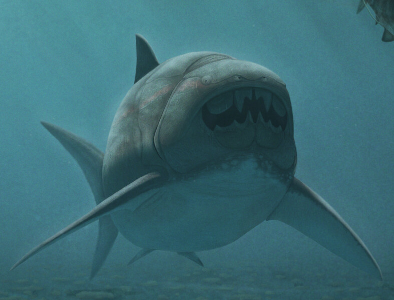 Dunkleosteus