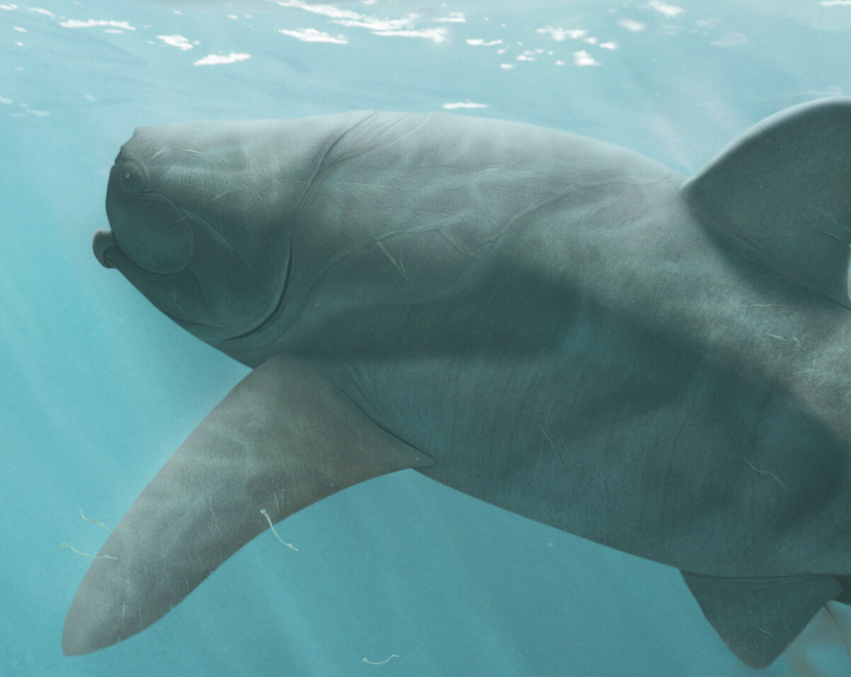 Mother Titanichthys clarki
