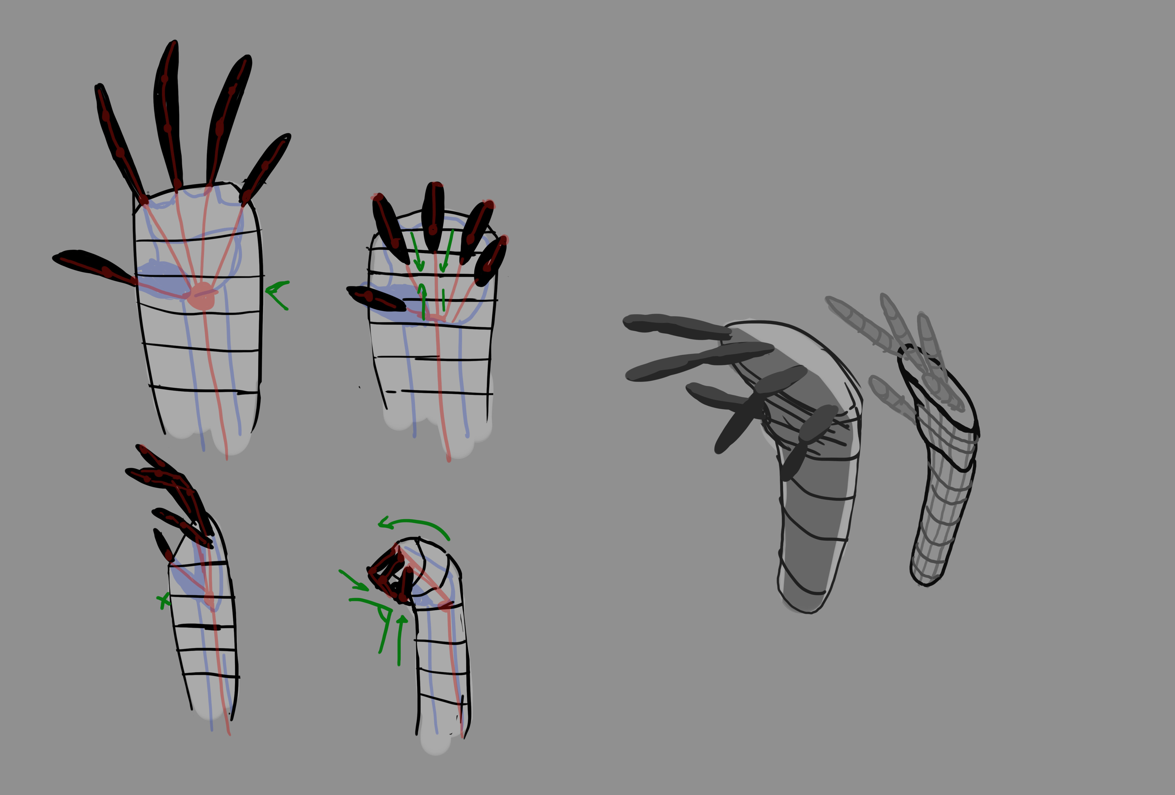 Specific sketch for the hand rig and topology