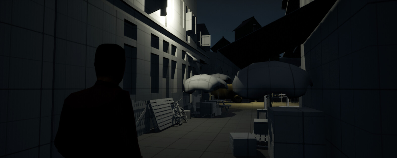 third person view