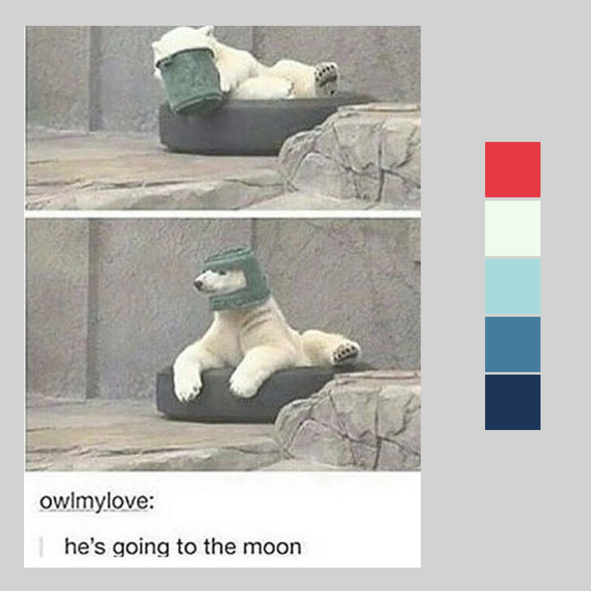 Bear-Totem Barbarian and Moon-Circle Druid... level 5 character... :  r/dndmemes, image size:1920x1920