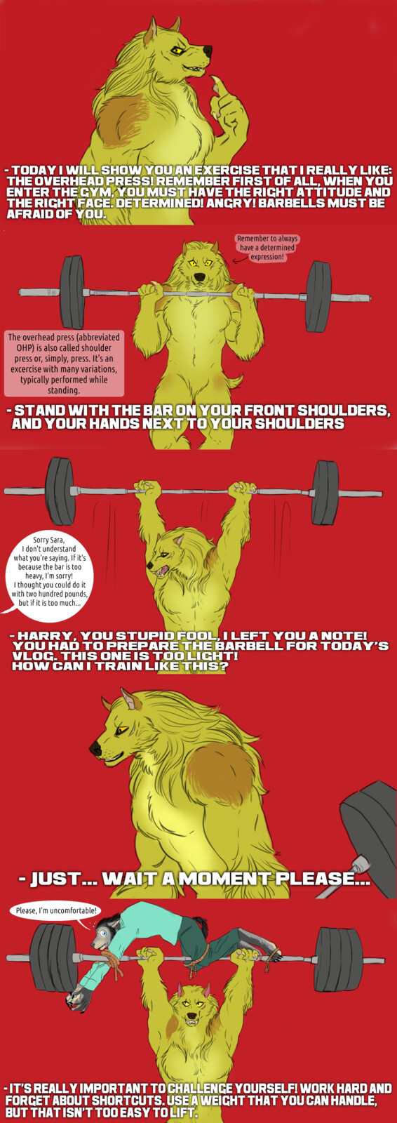 Today's exercise is the overhead press! Let's do it lycan style. 
 This exercise helps build muscular shoulders with bigger arms, and is  one of the most difficult compound upper-body exercises. Don't skip it!