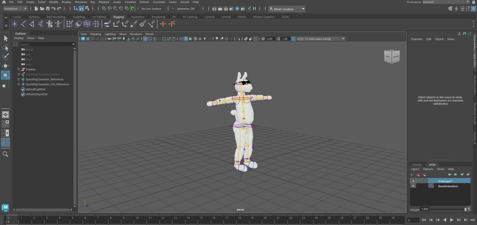 Model Armature and Mesh
