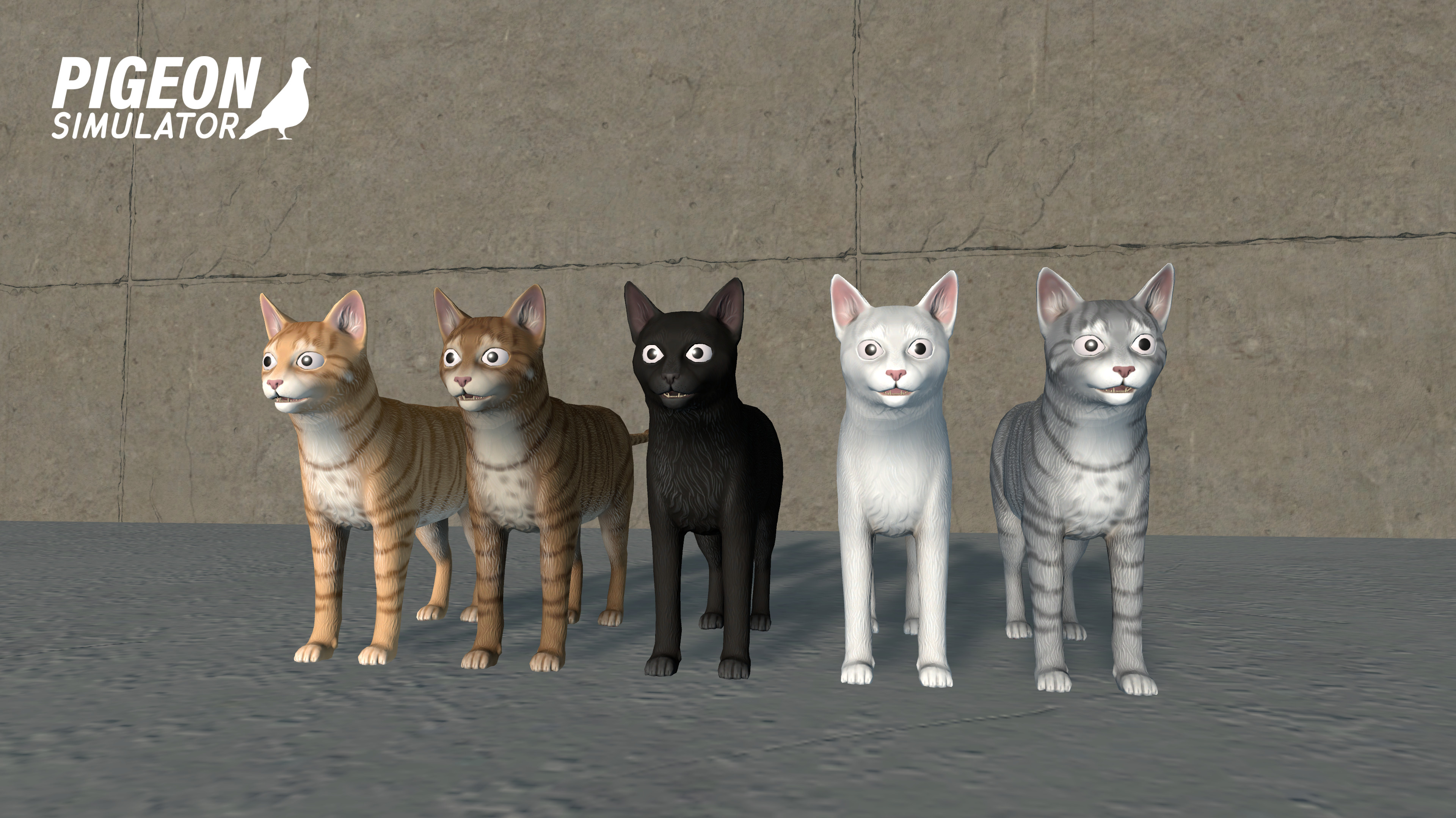Shorthair cat material variations
